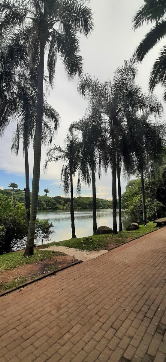 Бразилия, город Кампинас (штат Сан-Паулу).