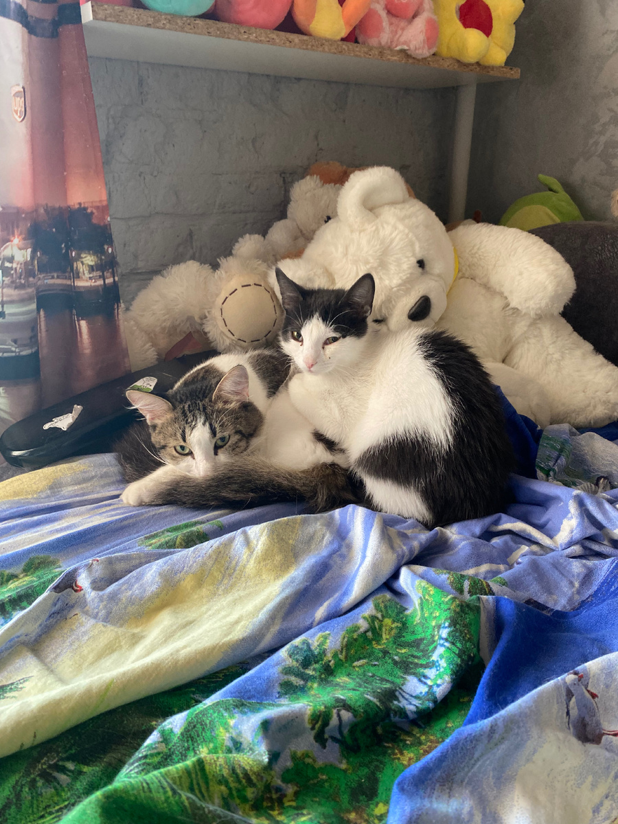 Особенно Нарни 🐥