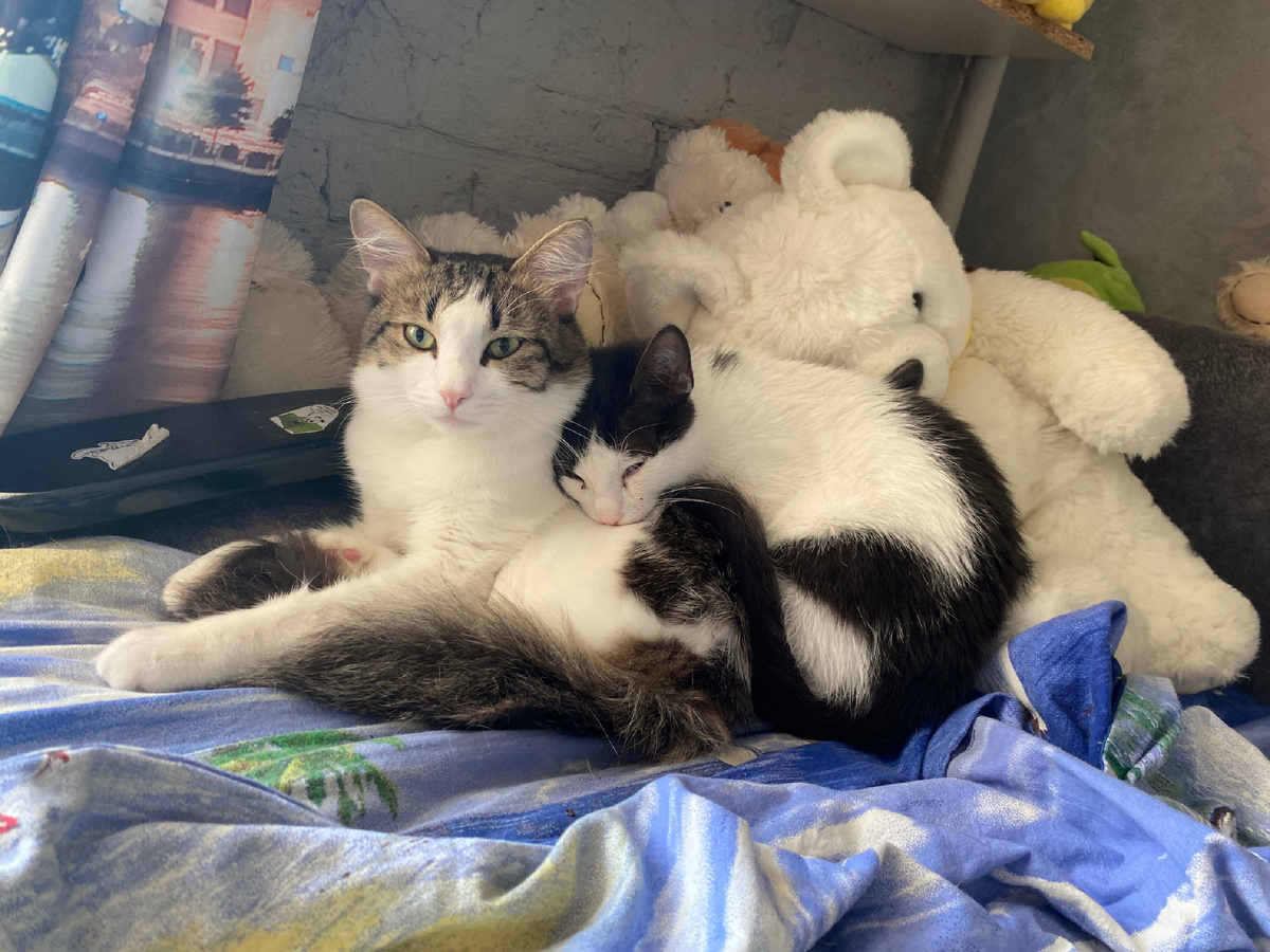 Первая осень Нарни 🐣