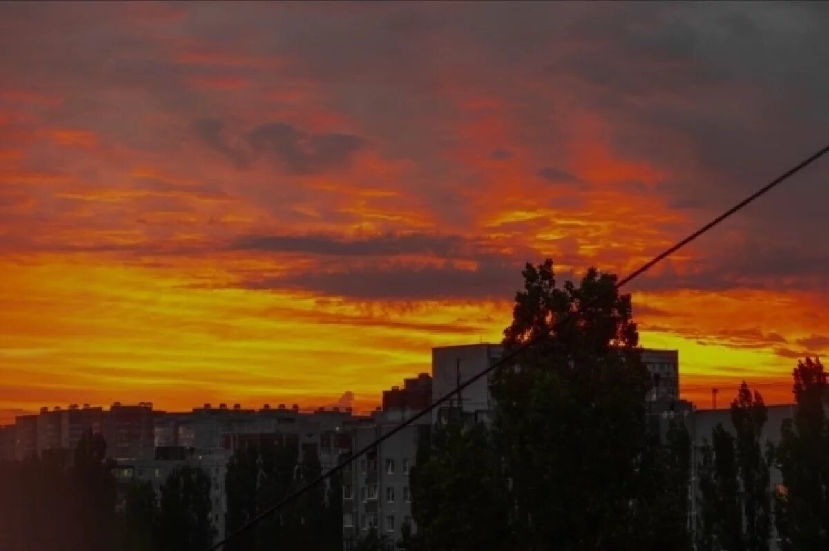    Над Крымом и Черным морем в ночь с 28 на 29 августа сбили 19 БПЛА ВСУ