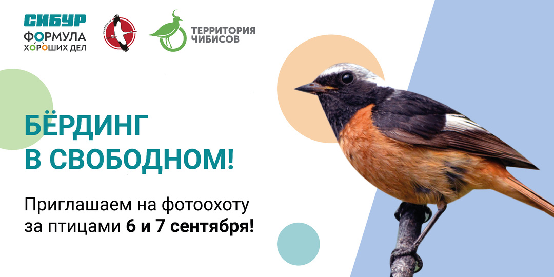 На колесах и пешком: в Свободном пройдут соревнования по бердингу