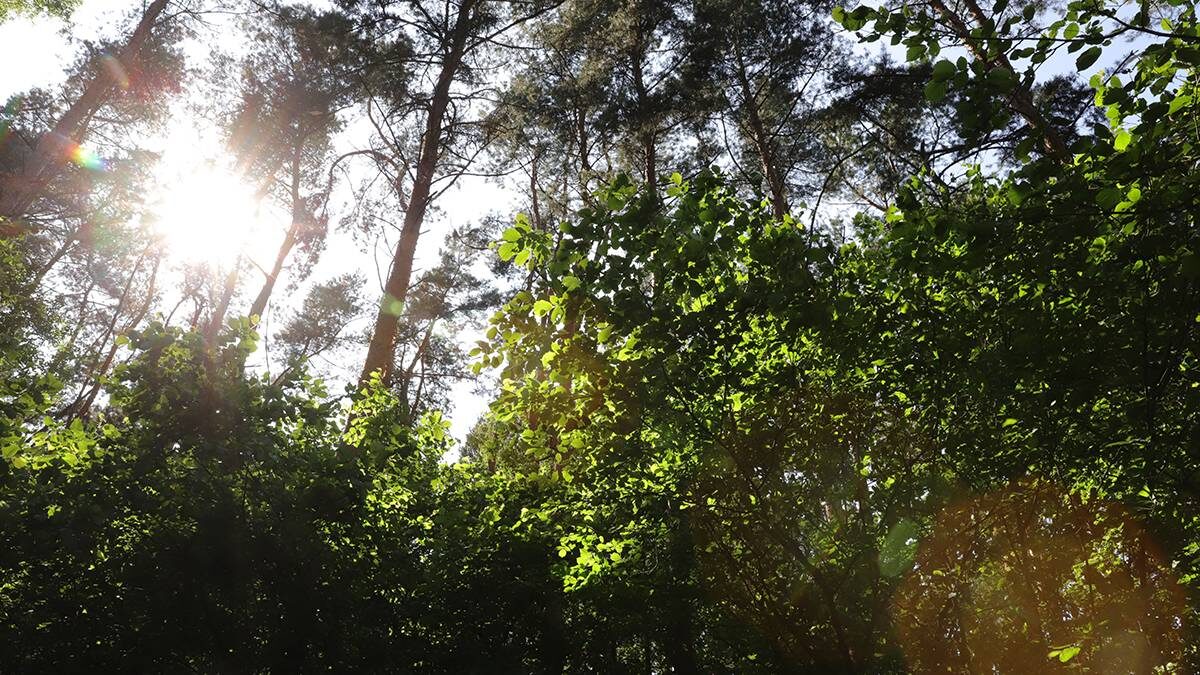    Фото: Анатолий Цымбалюк / Вечерняя Москва