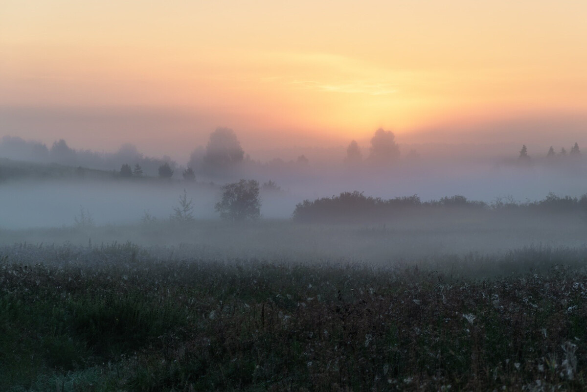 Александр Архипкин "Утро туманного августа"