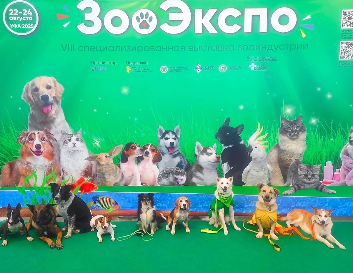 ФОТО ИЗ АРХИВА ПАРТИИ «ЕР», ВДНХ ЭКСПО УФА