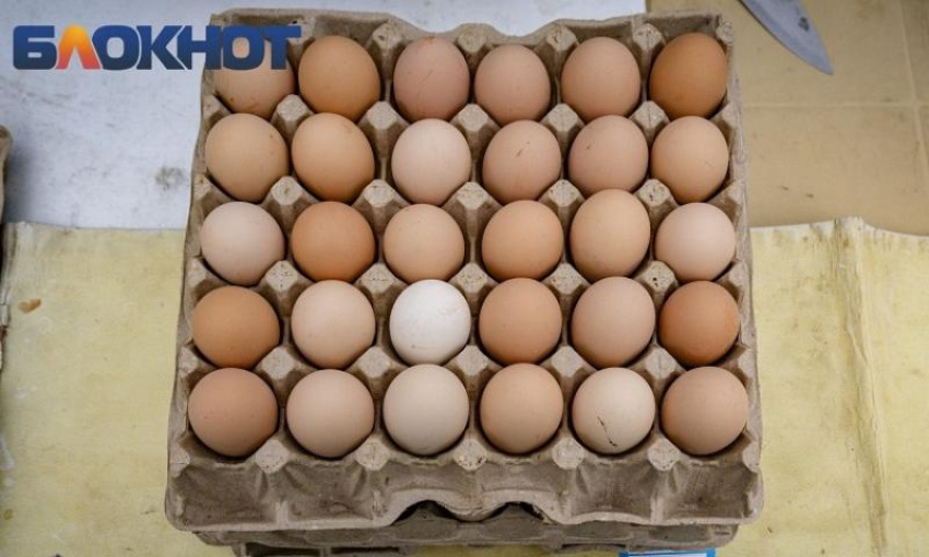 Фото: "Блокнот Краснодар"