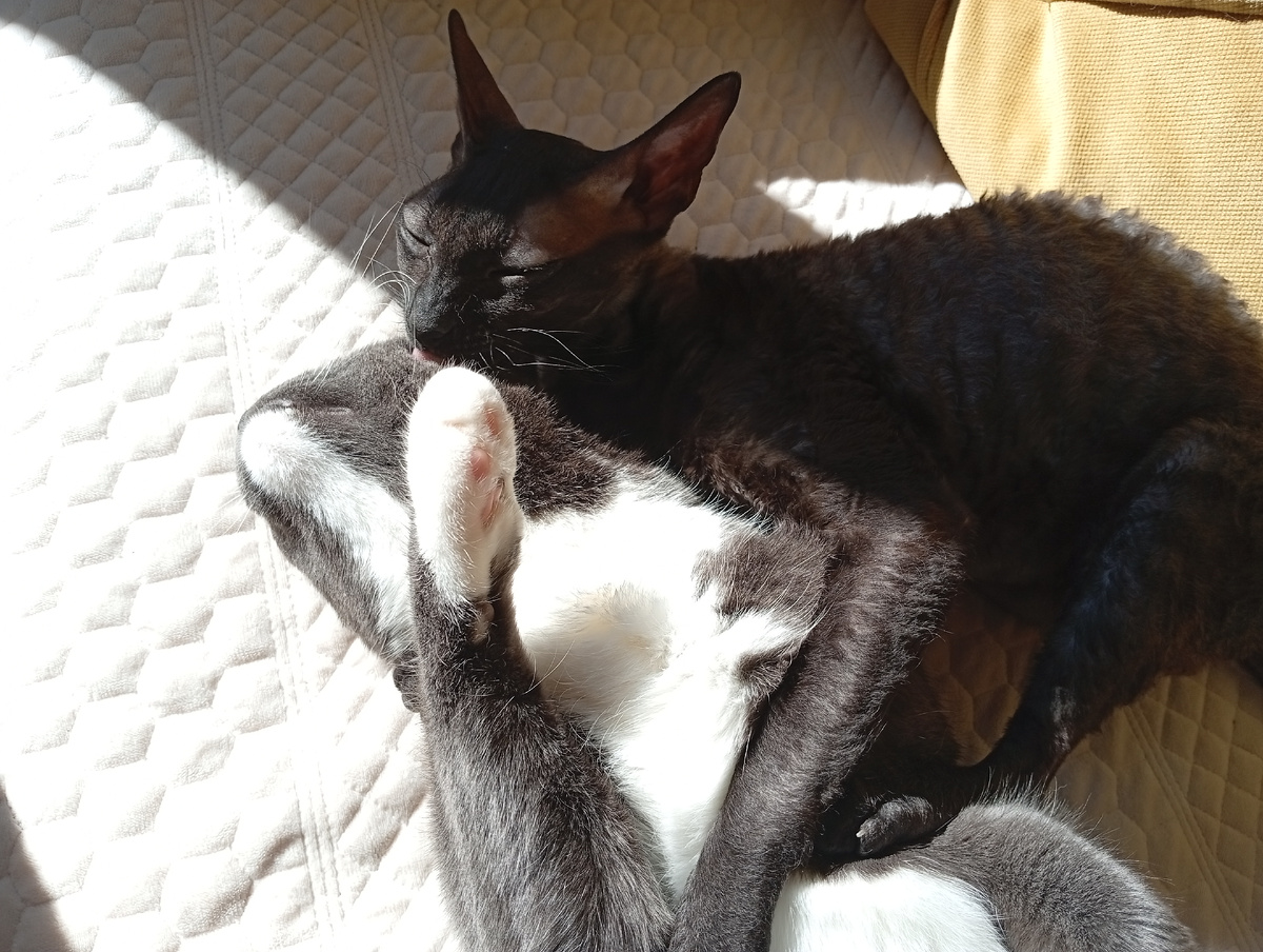 Любите друг друга 