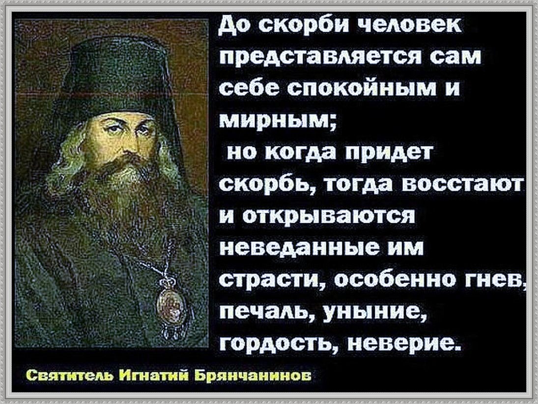 коллаж автора