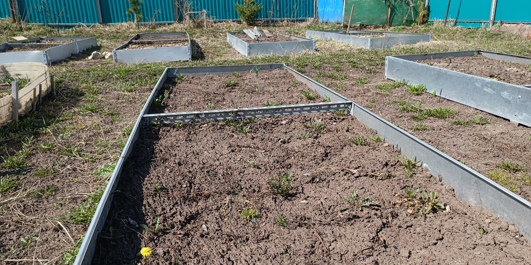 Чистим пустующие грядки осенью: защита от сорняков и вредителей