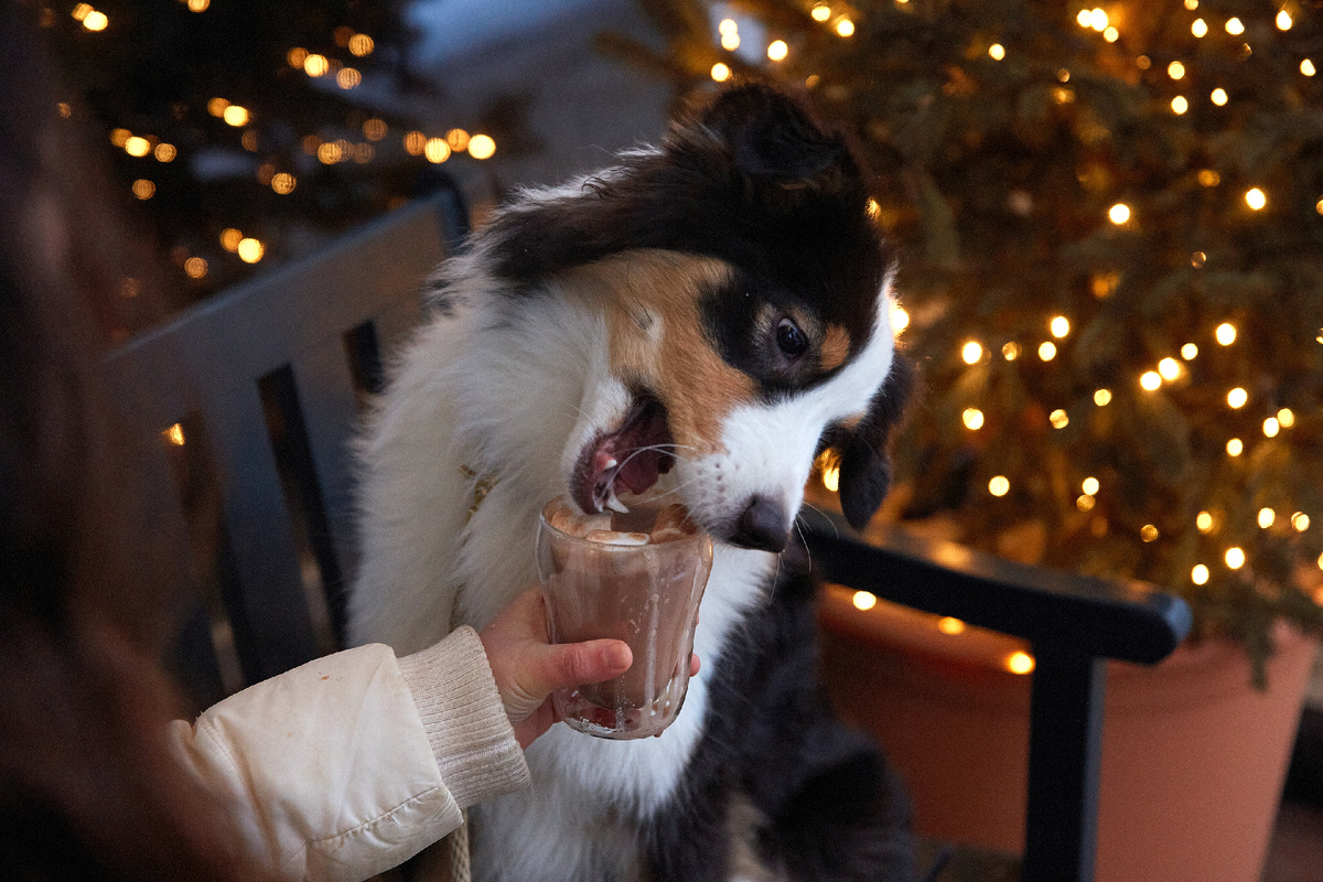 Вот он халявный какао