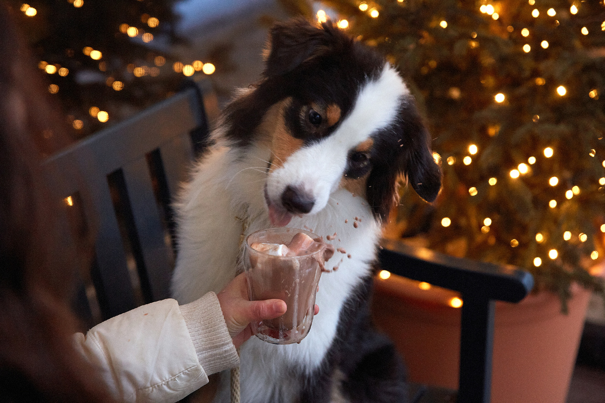 Языком хлоп и маршмеллоу с брызгами летит вниз