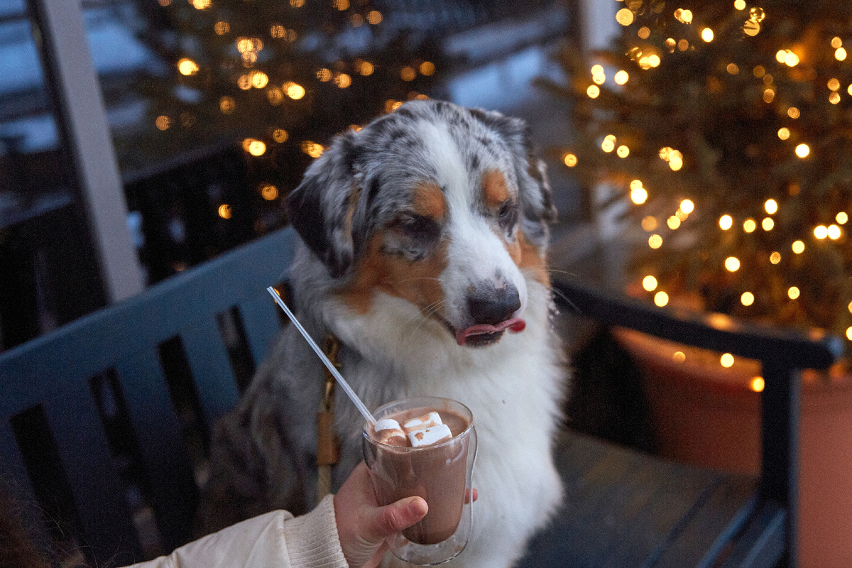 На лице написано, что барыня думает о горячем какао