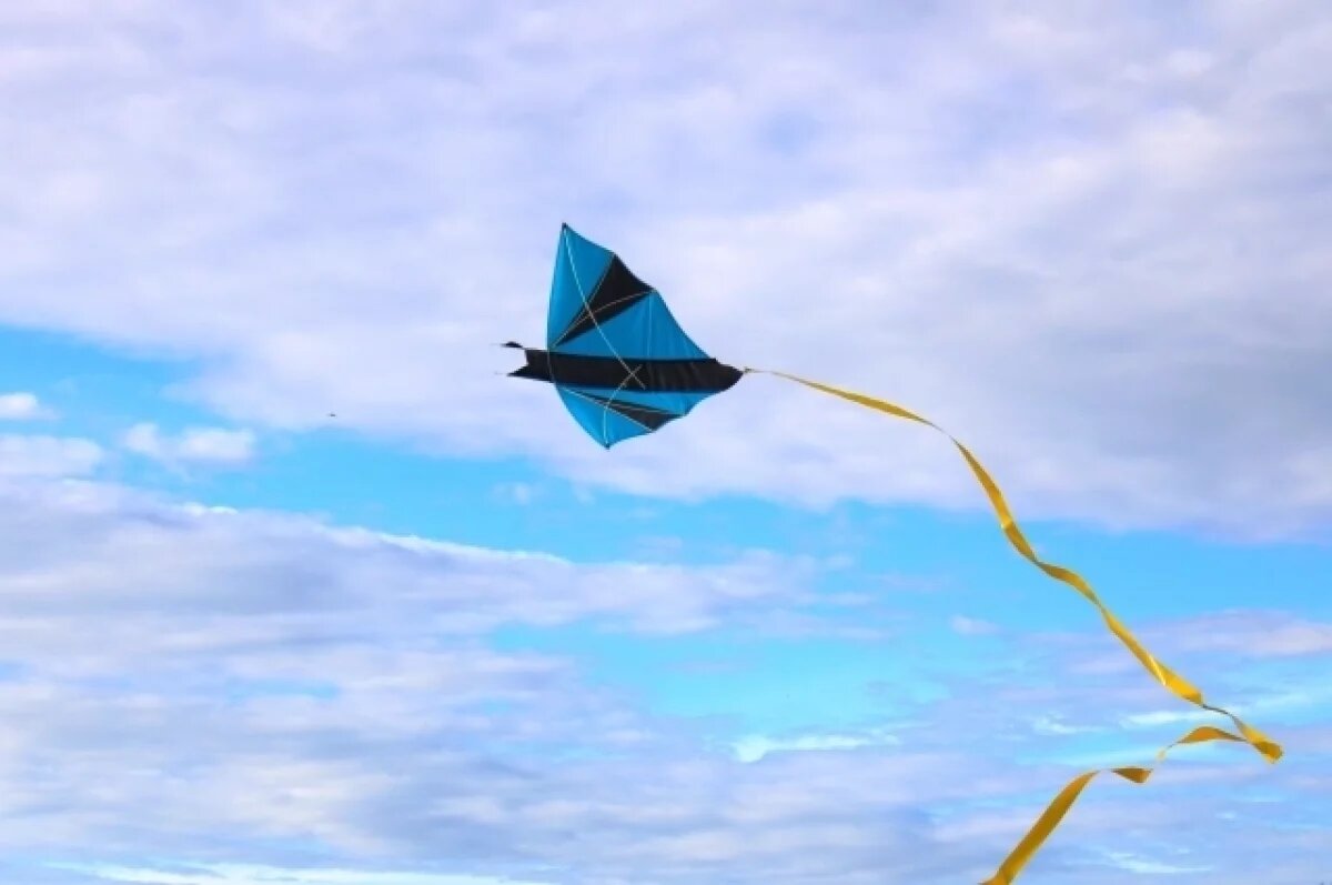    Жителей Крыма предупредили о сильном ветре 29 и 30 августа