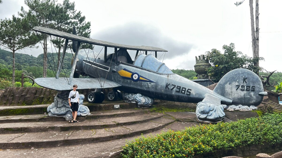 В принципе натуральный масштаб самолета