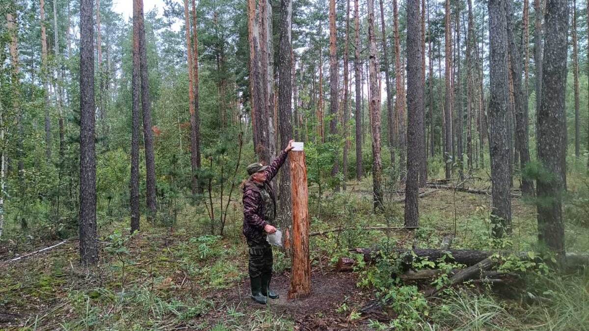 Фото: Минприроды Курской области