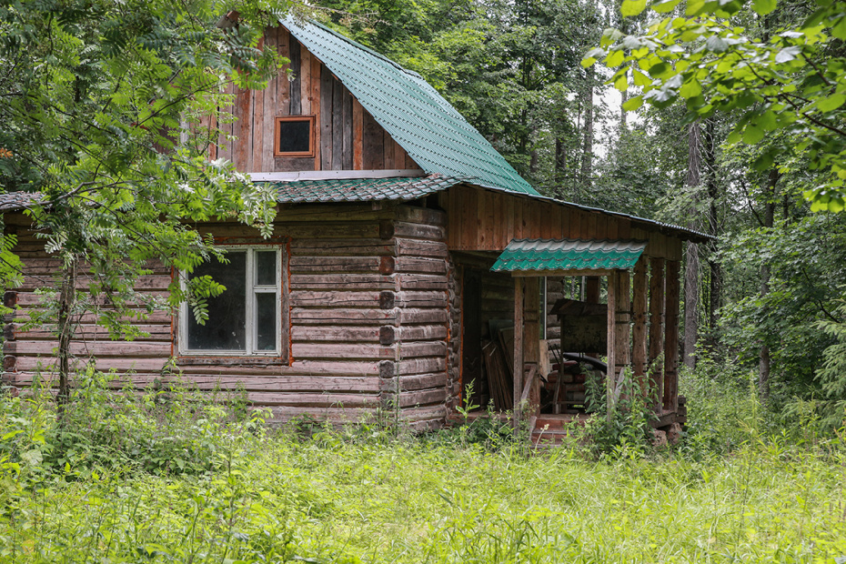    Сергей Булкин/NEWS.ru