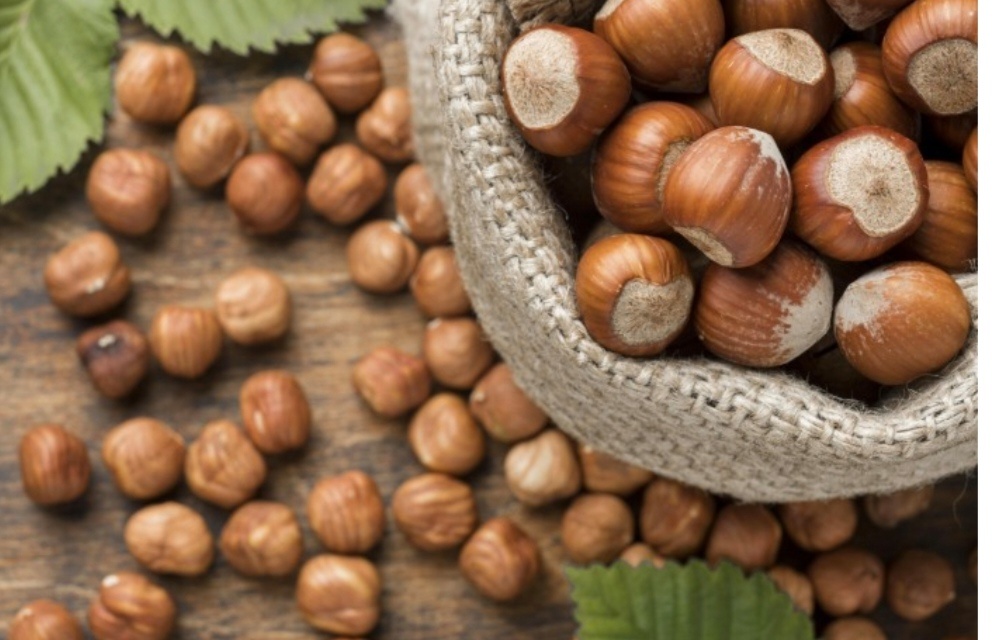 Лесные орехи