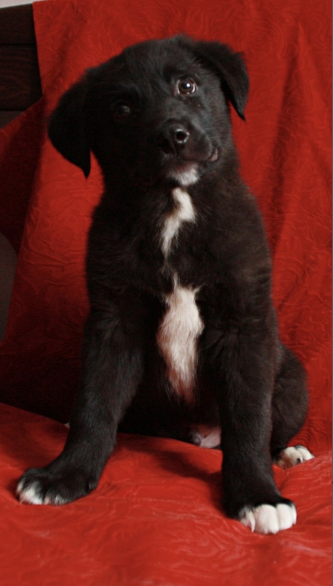 Таким мы его впервые увидели