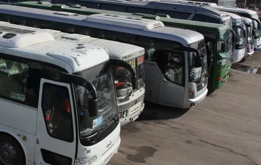 ФОТО Дмитрия СОКОЛОВА