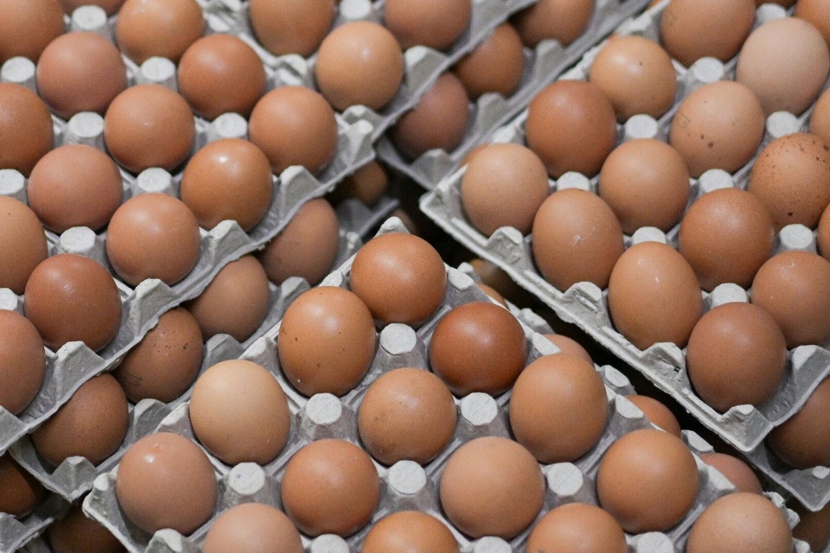    Фото: Александр Кряжев, источник: ria.ru