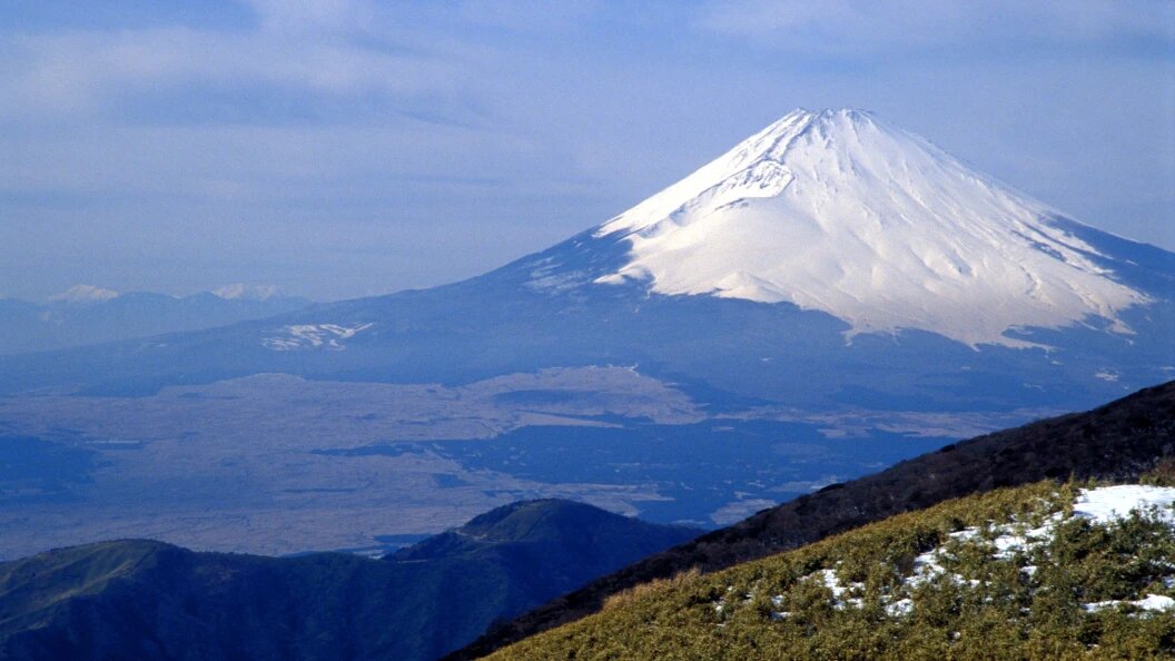    Serguei Fomine/Globallookpress