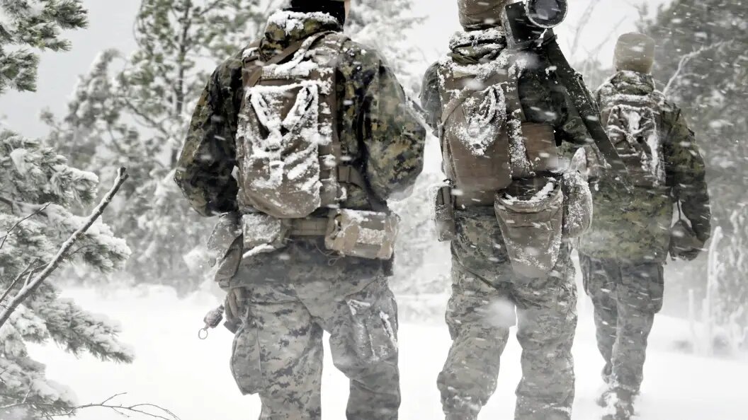    Фото: IMAGO/Heikki Saukkomaa/Globallookpress