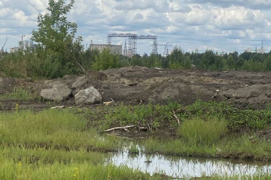    Фото: Евгений Митрофанов/Telegram