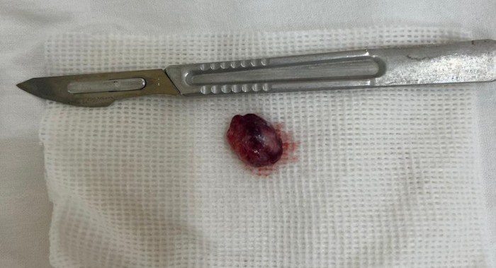 Фото: ООКБ  📷
