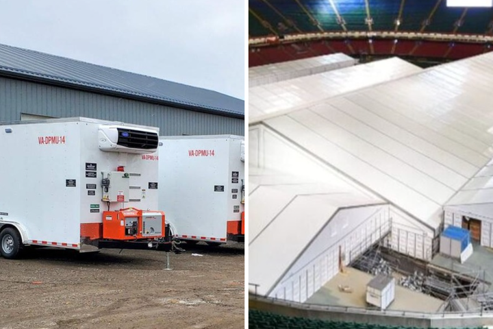  Фото © X.com / @TeslaDogs / @JimFergusonUK