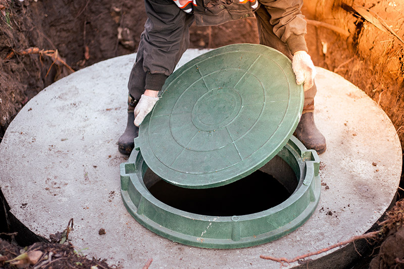    Shutterstock/FOTODOM