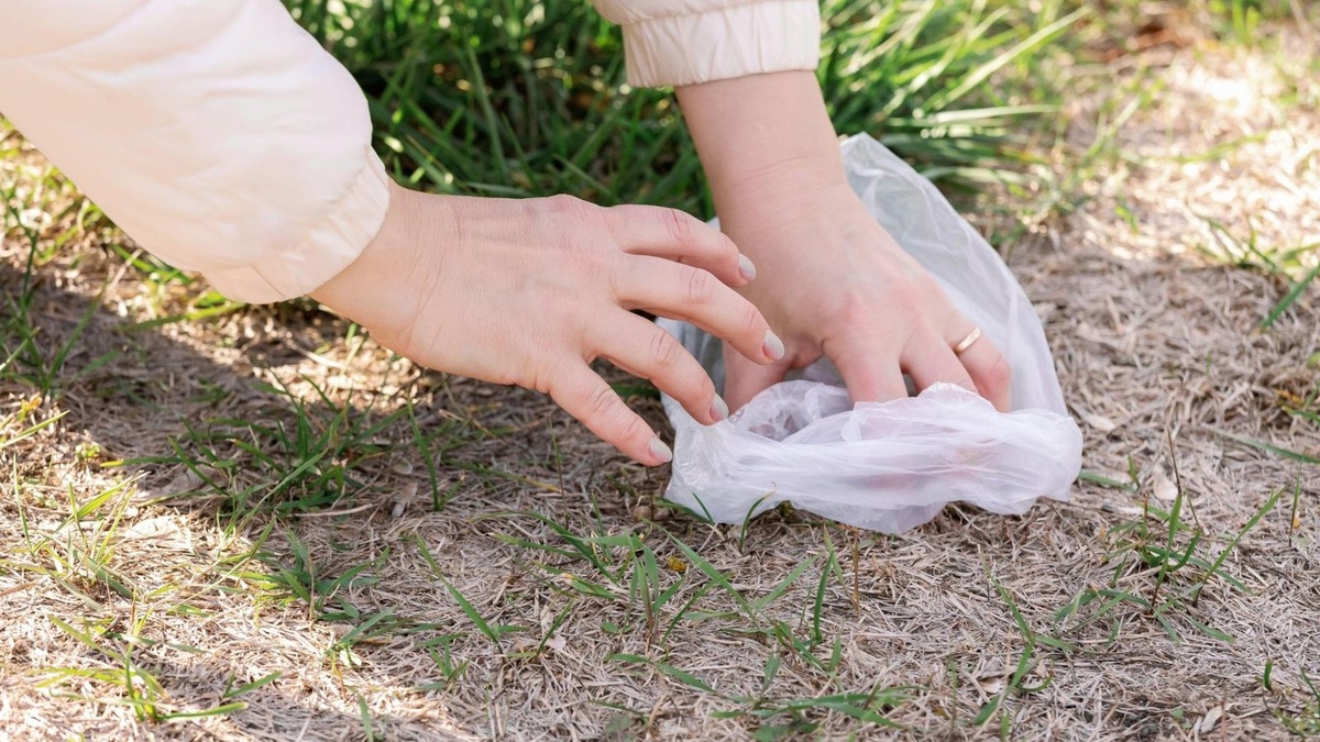    Убирать за собакой важно не только ради чистоты, но и ради экологии.