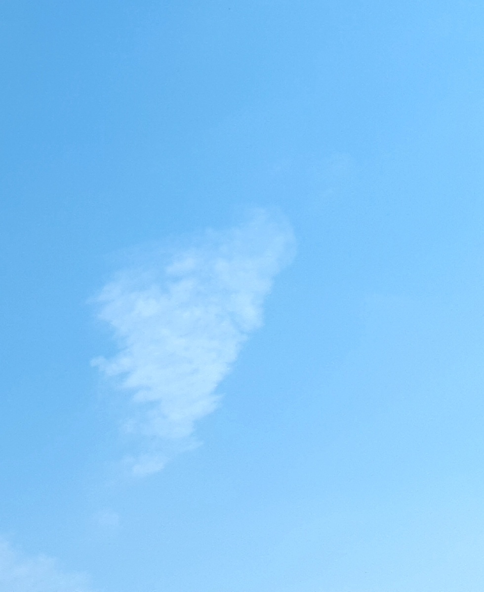 Фото автора 29.08.2025г.