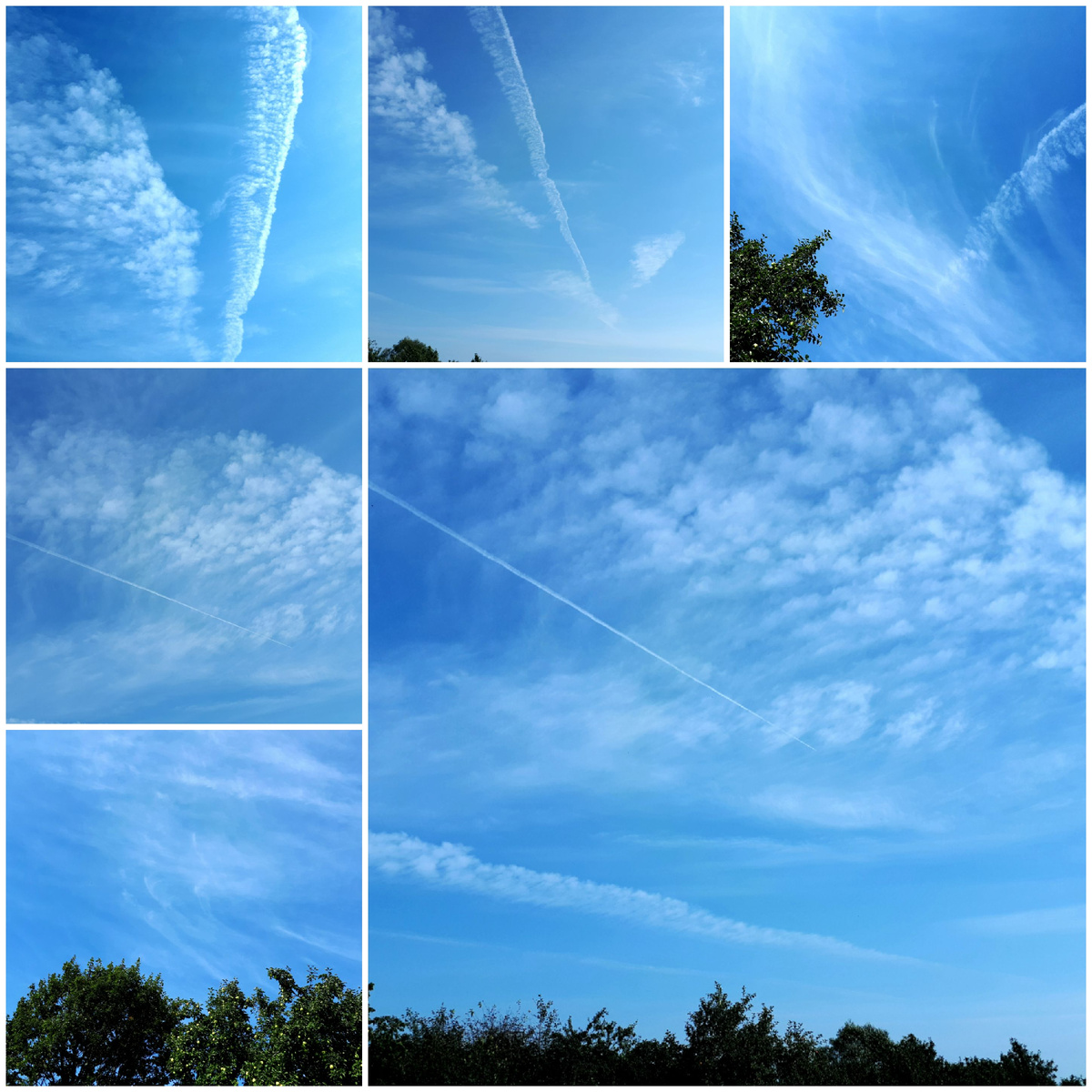 Коллаж автора 29.08.2025г.