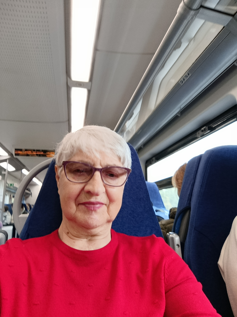 В  Ласточке.Заняли удобные места едем,едем...