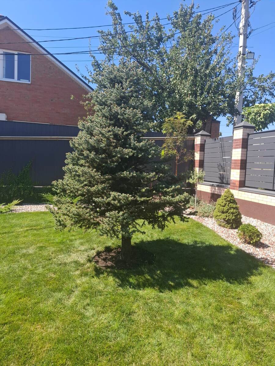 Тут уже мы закончили с ней работу