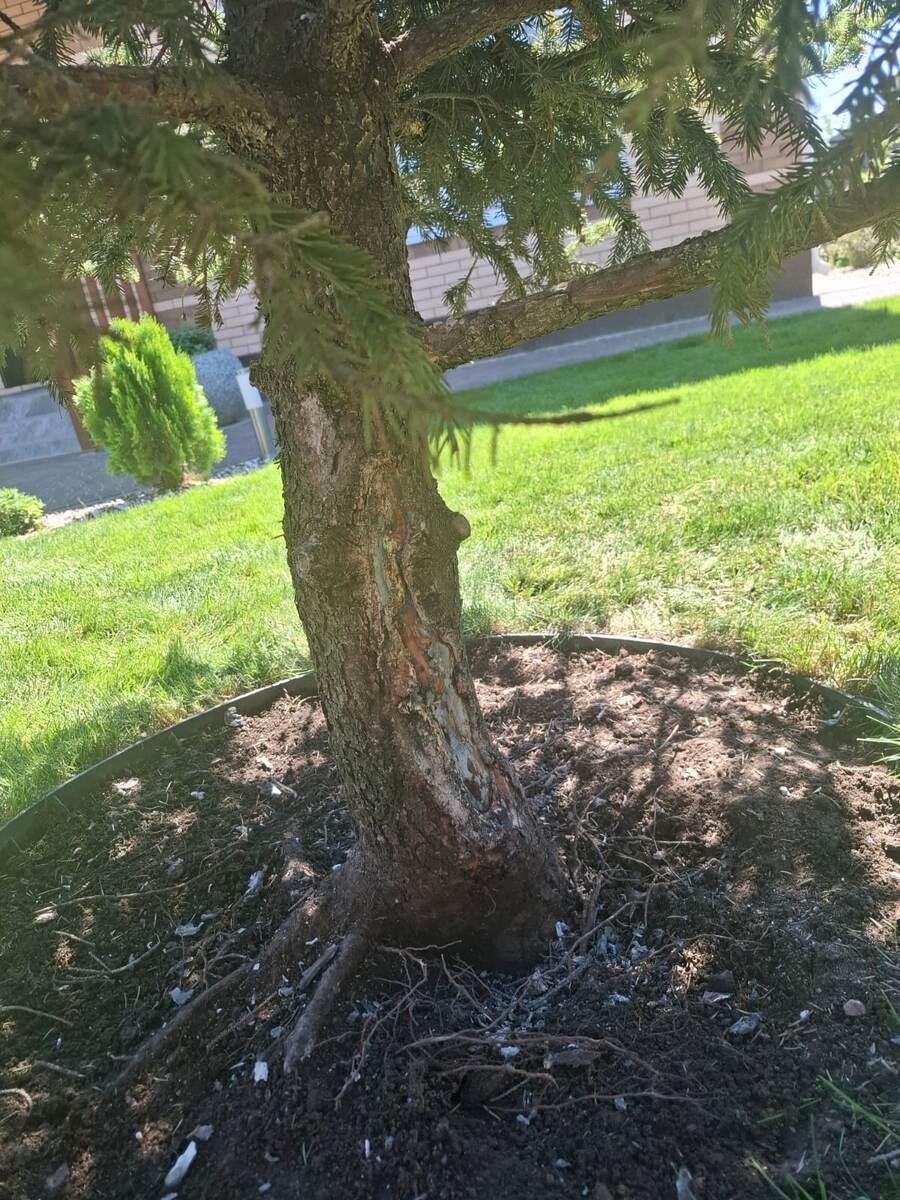 Это уже после смыва чудо-замазки