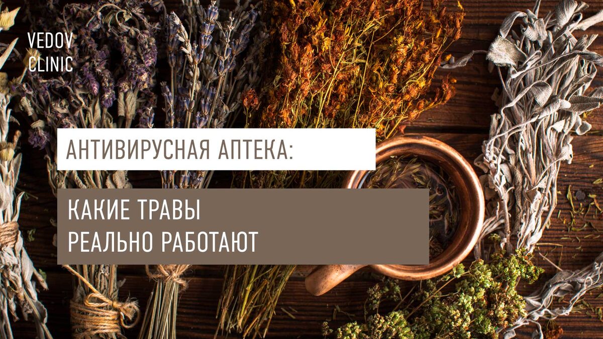 Антивирусная аптека: какие травы реально работают

