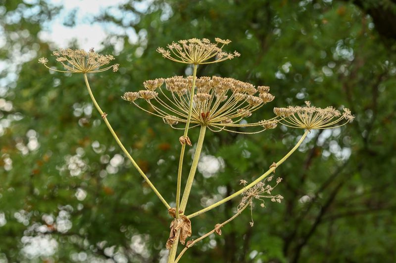    Сергей Петров/NEWS.ru