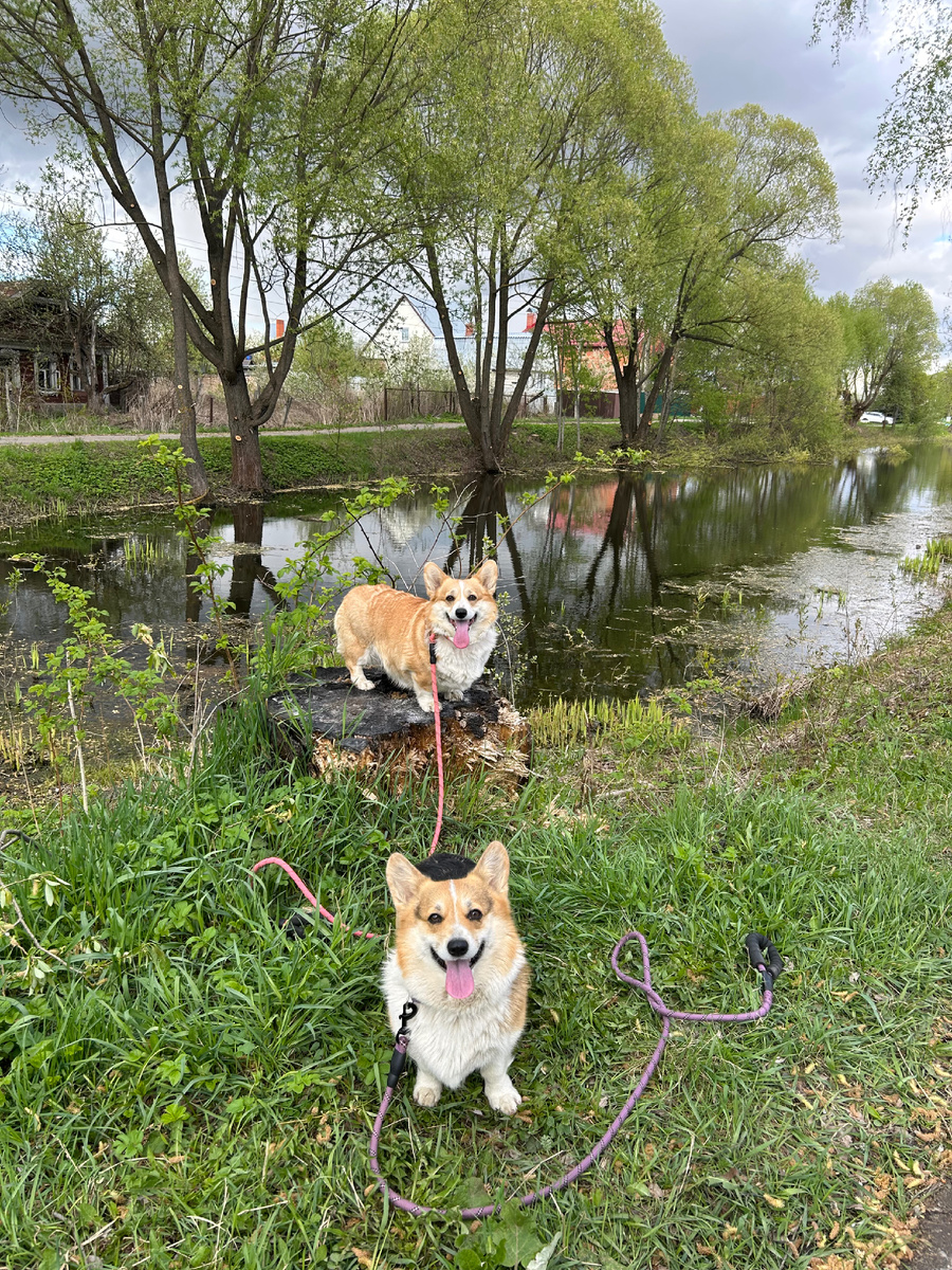 Первые листики 🍃 на деревьях и Мы! 