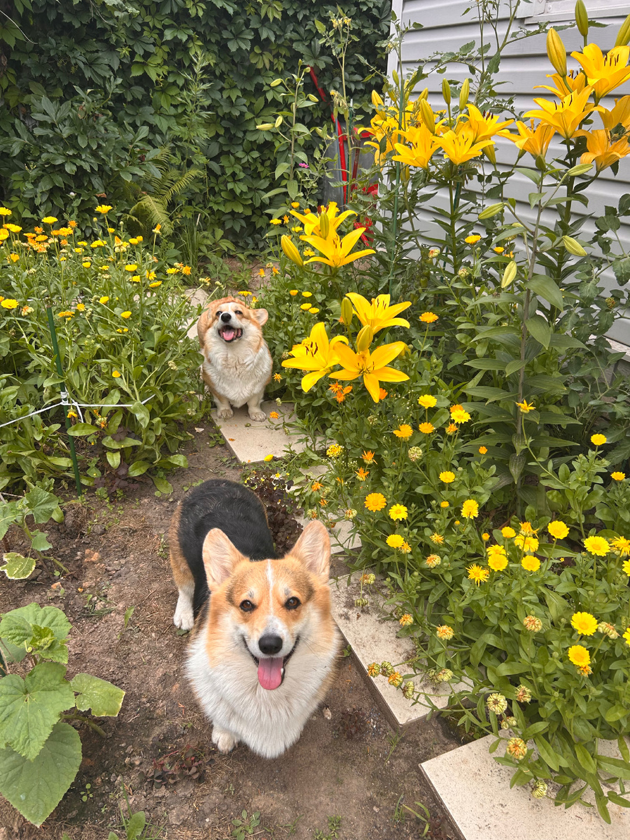 Летнее настроение! 🌞