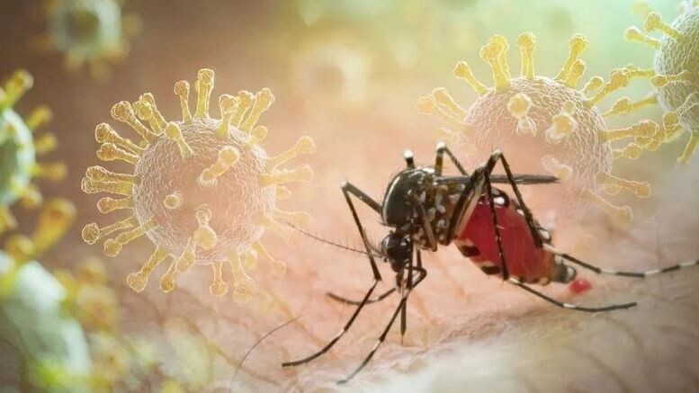    Фото: frank60/Shutterstock/Fotodom