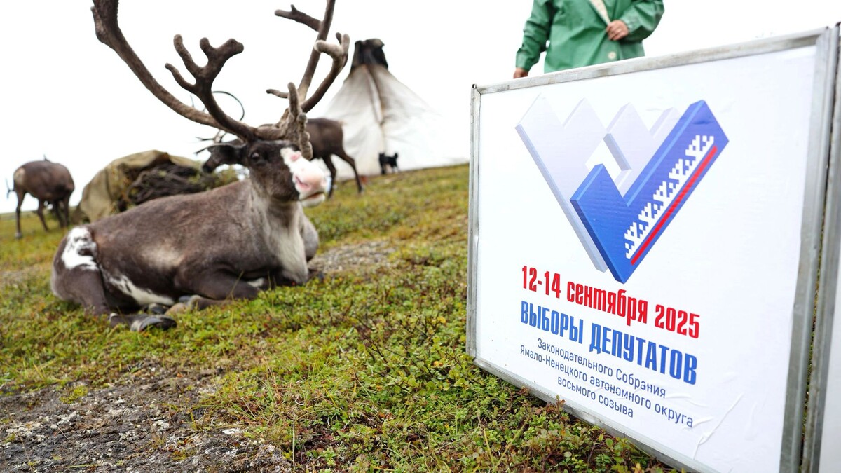    Фото: Андрей Ткачев/«Ямал-Медиа»