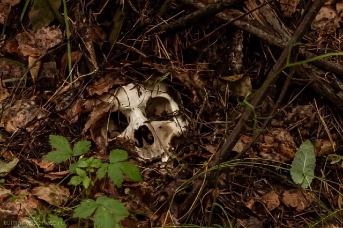    Фильм выйдет в начале следующего года.