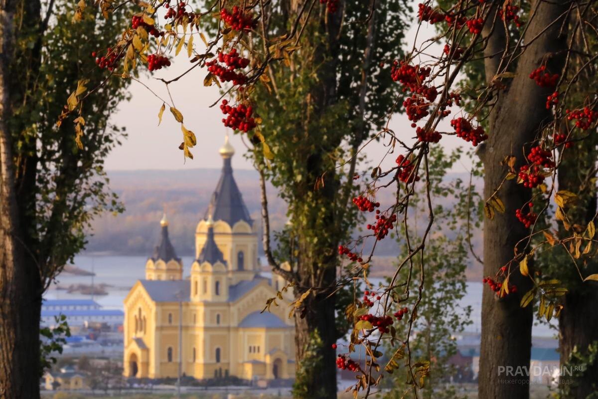    Приглашаем школьников, студентов, учителей и преподавателей