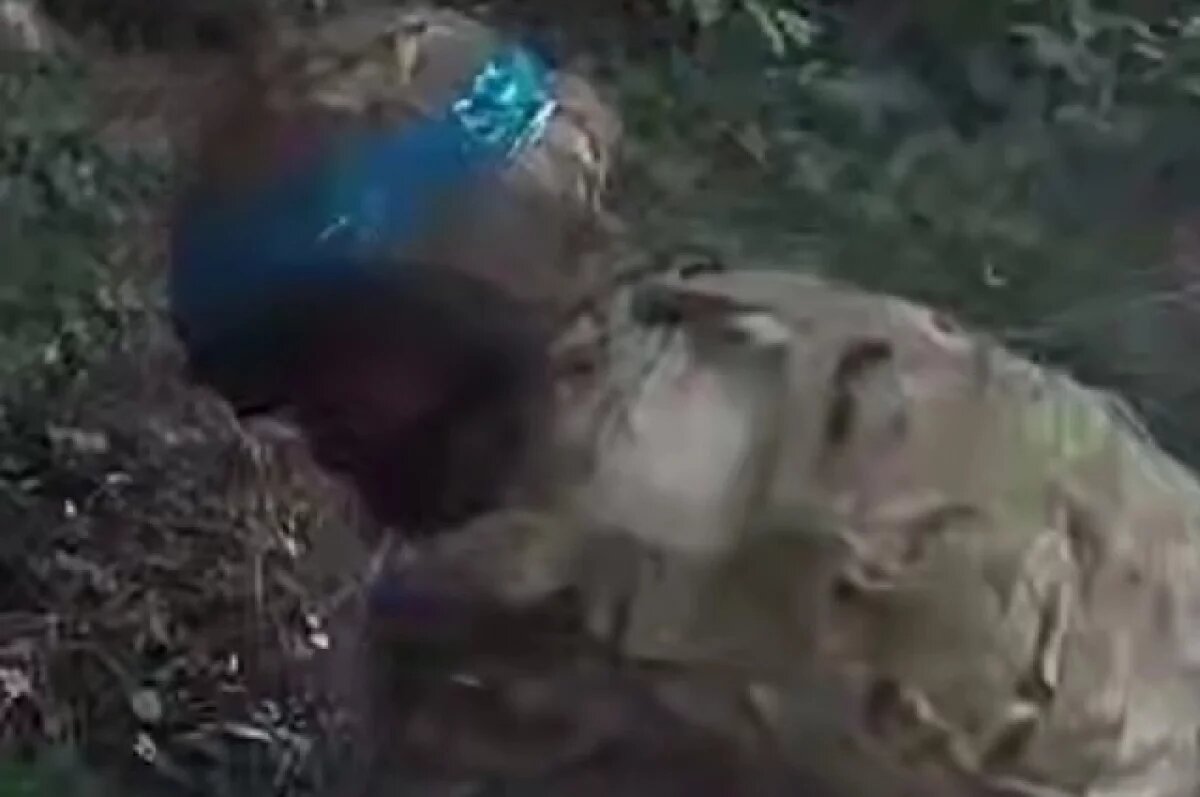    «Фронтовая птичка»: боевикам ВСУ грозит полуокружение под Полтавкой