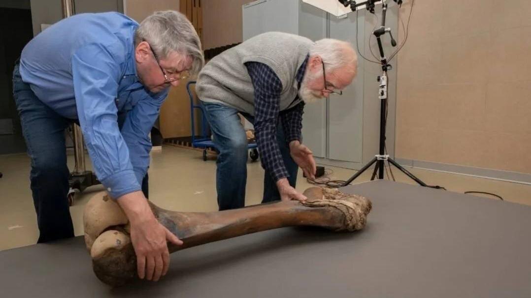    Фото: t.me/drozdenko_au_lo