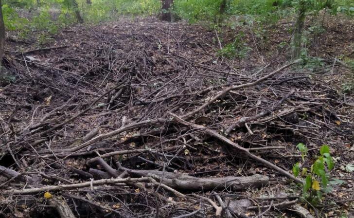    фото Курские известия