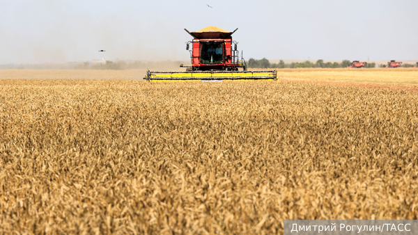     Фото: Дмитрий Рогулин/ТАСС   
 Текст: Ольга Самофалова