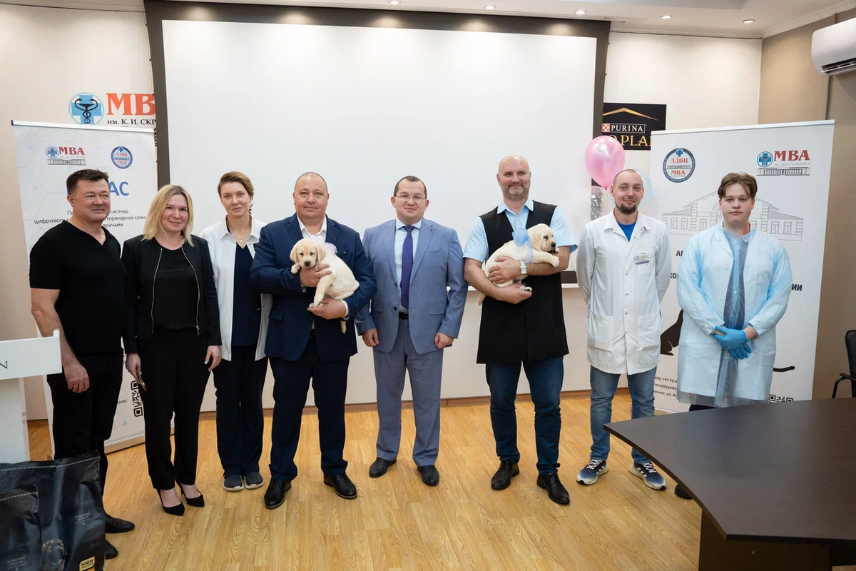 Фото: Александр Плонский / ВиЖ