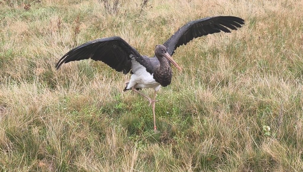    Фото: пресс-служба Росприроднадзора РФ