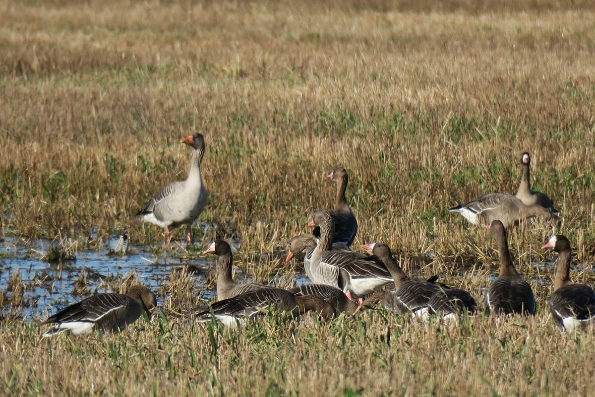    Фото: Правительство Магаданской области, источник: 49gov.ru